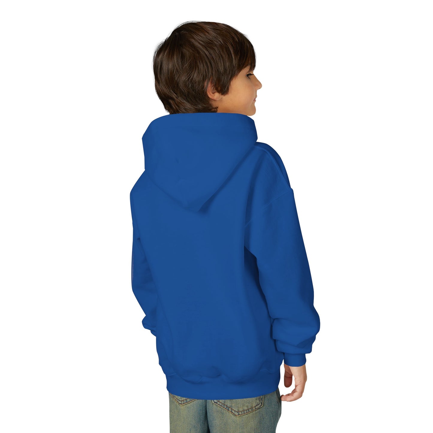 Saint Agnes Wildcats Youth Hoodie — Mascot School Spirit Sweatshirt